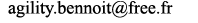 recopiez cette adresse dans votre messagerie pour nous contacter