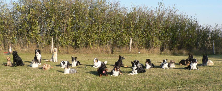 photo de groupe