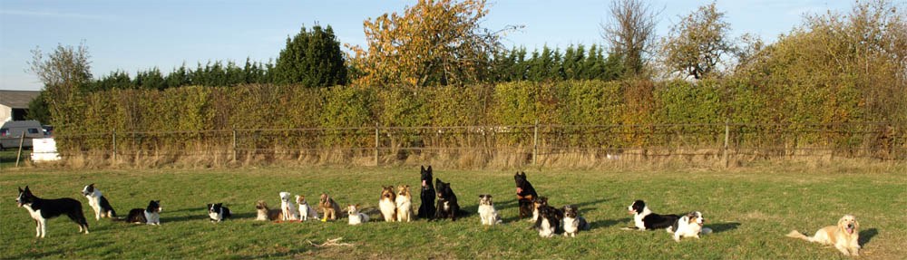 photo de groupe