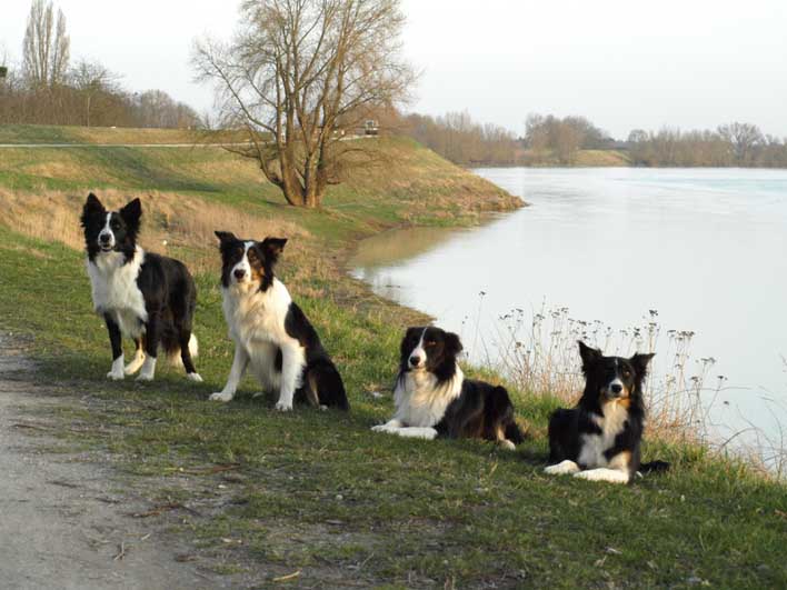 photo de groupe