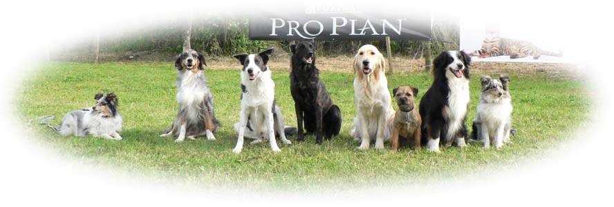 photo de groupe